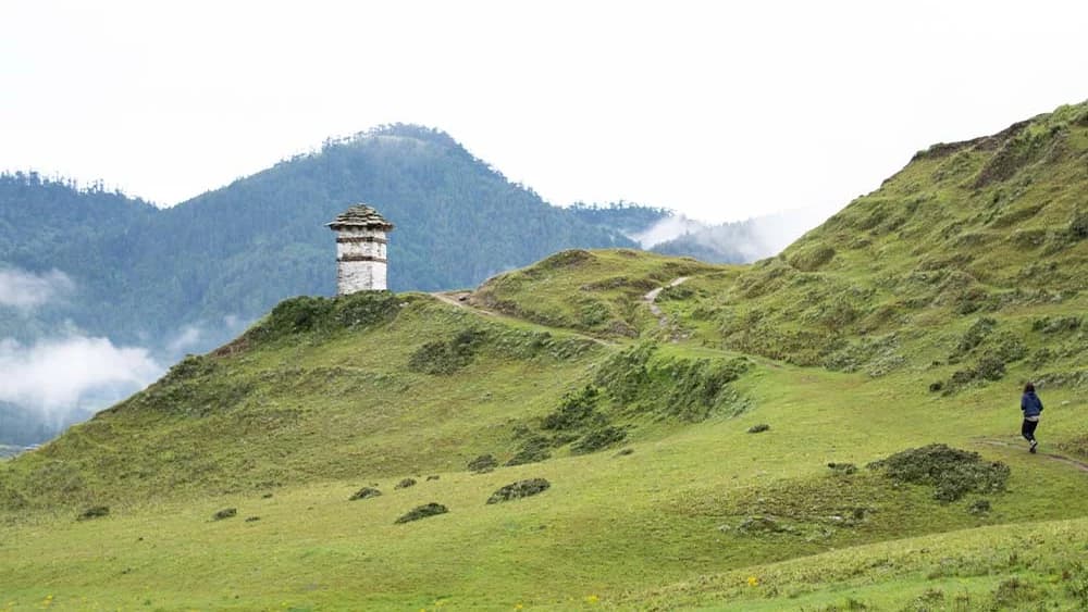 Gangtey Nature Trail