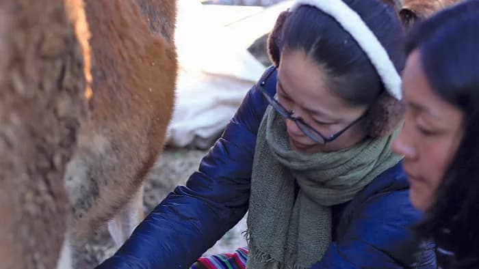 Aum Bangpa Heritage Farmstay