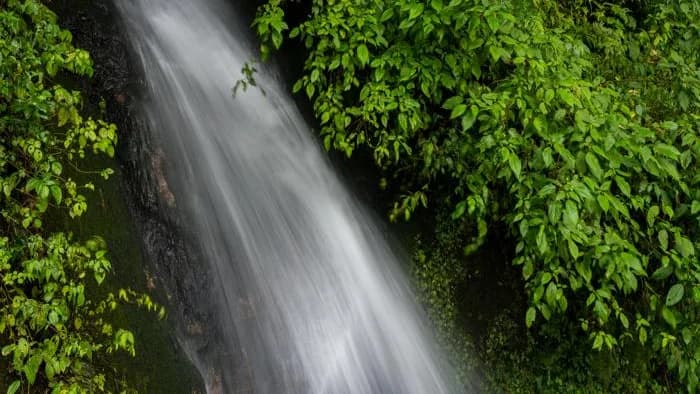 Access Bhutan Tours & Treks