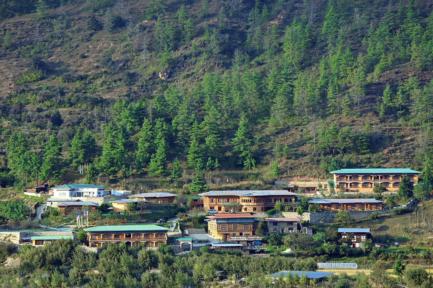 Rema Resort
