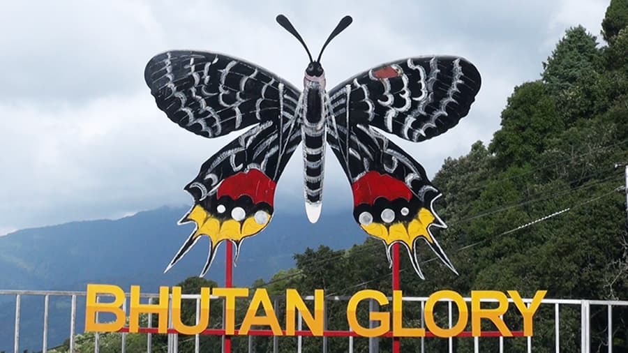 Bhutan Glory Meet brings butterfly enthusiasts to Kanglung